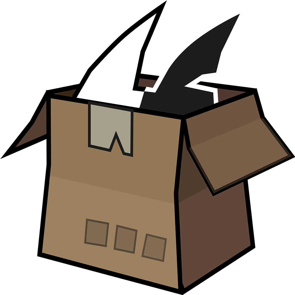 cat looking out of the box