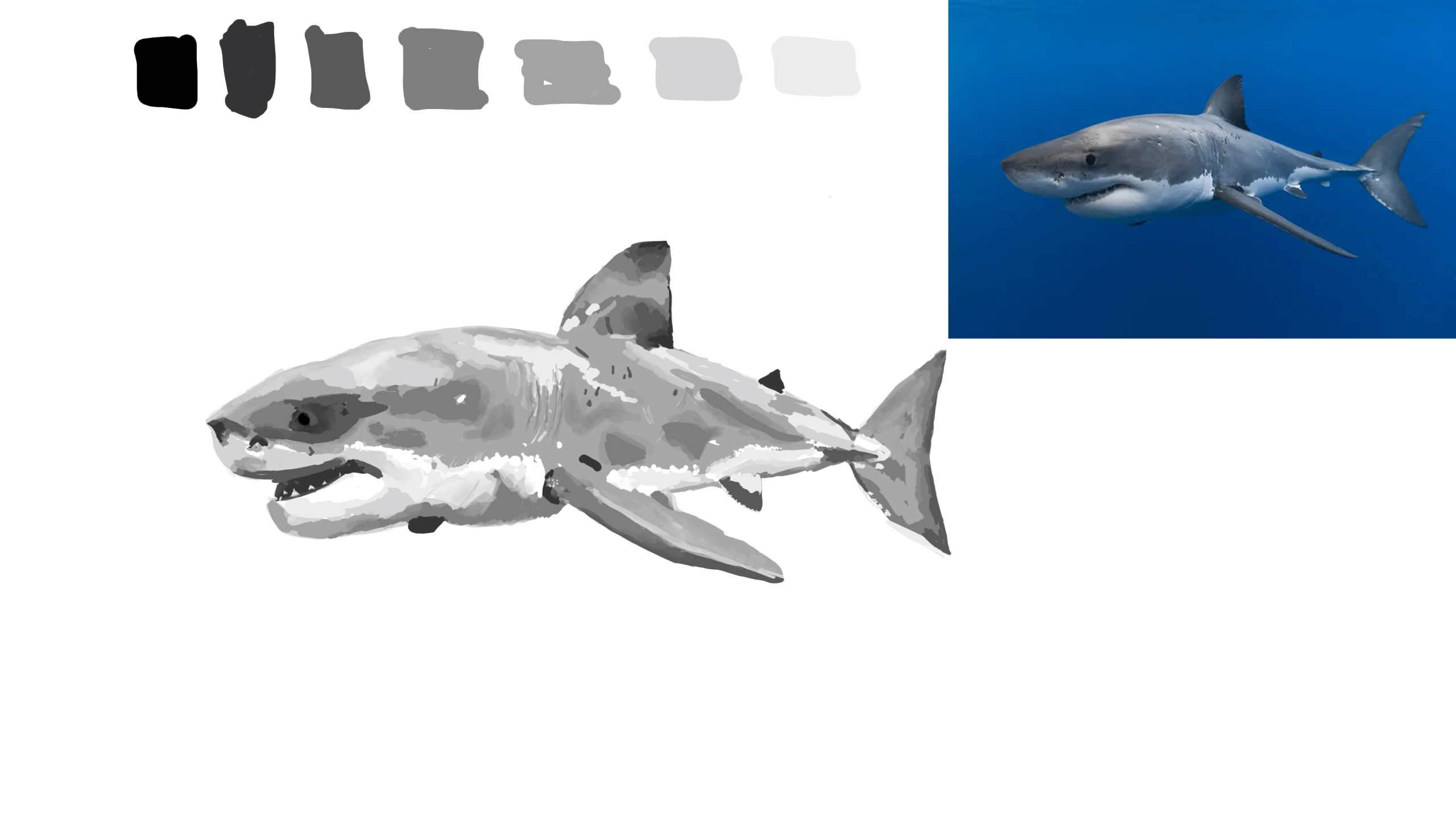 sharky